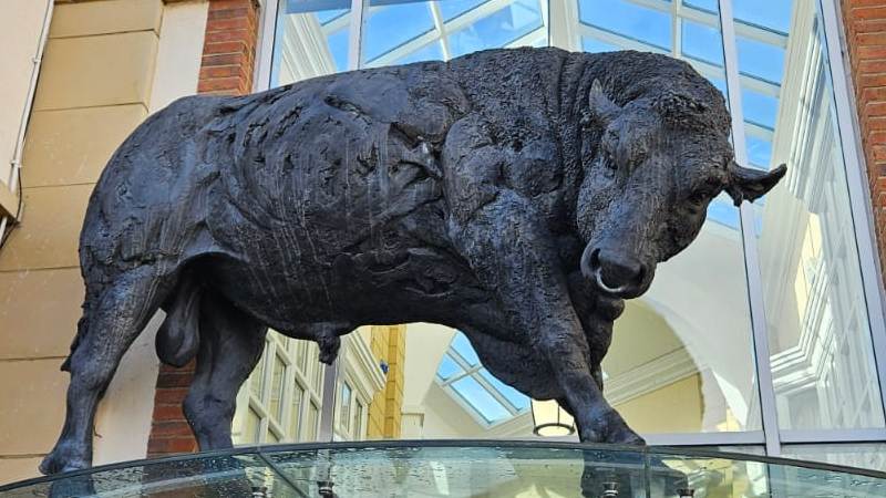 Judy Boyt Animal Sculptures The Black Prince