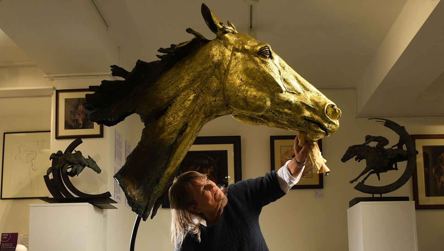 Judy Boyt Exhibitions