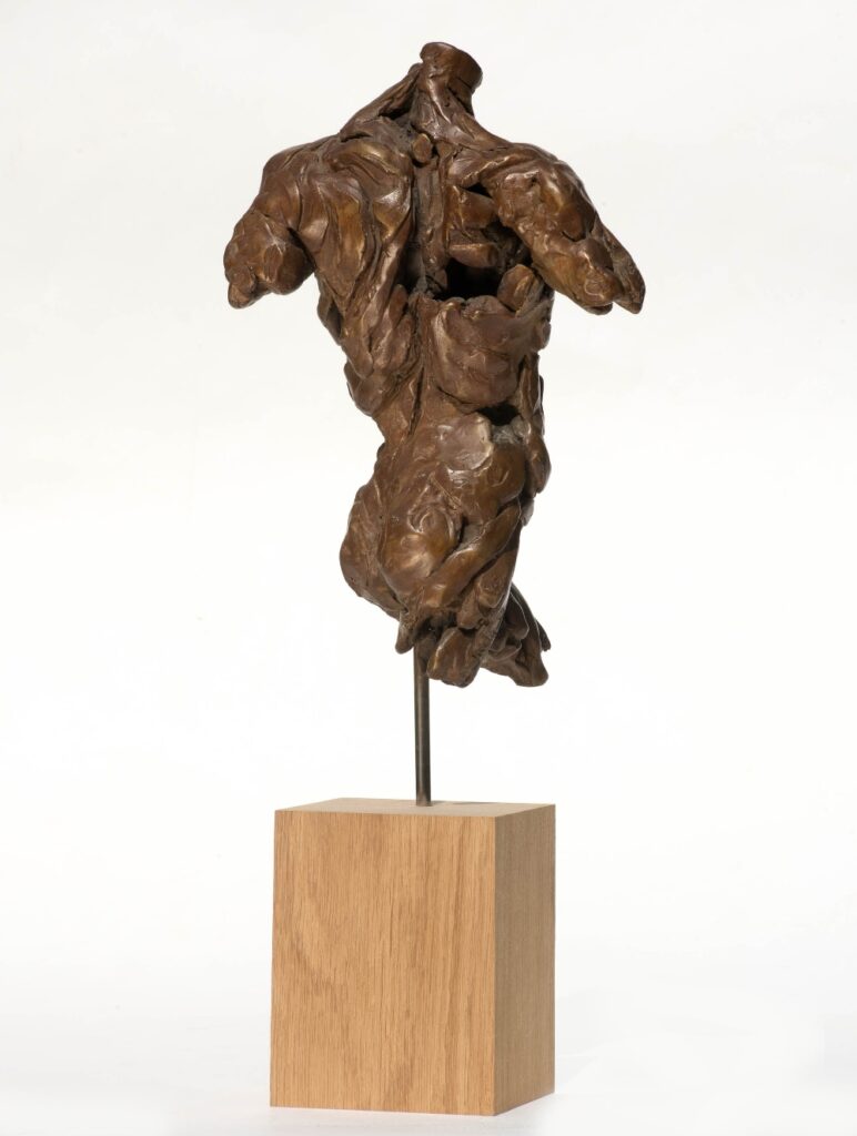 Judy Boyt Human Form Sculptures Torso