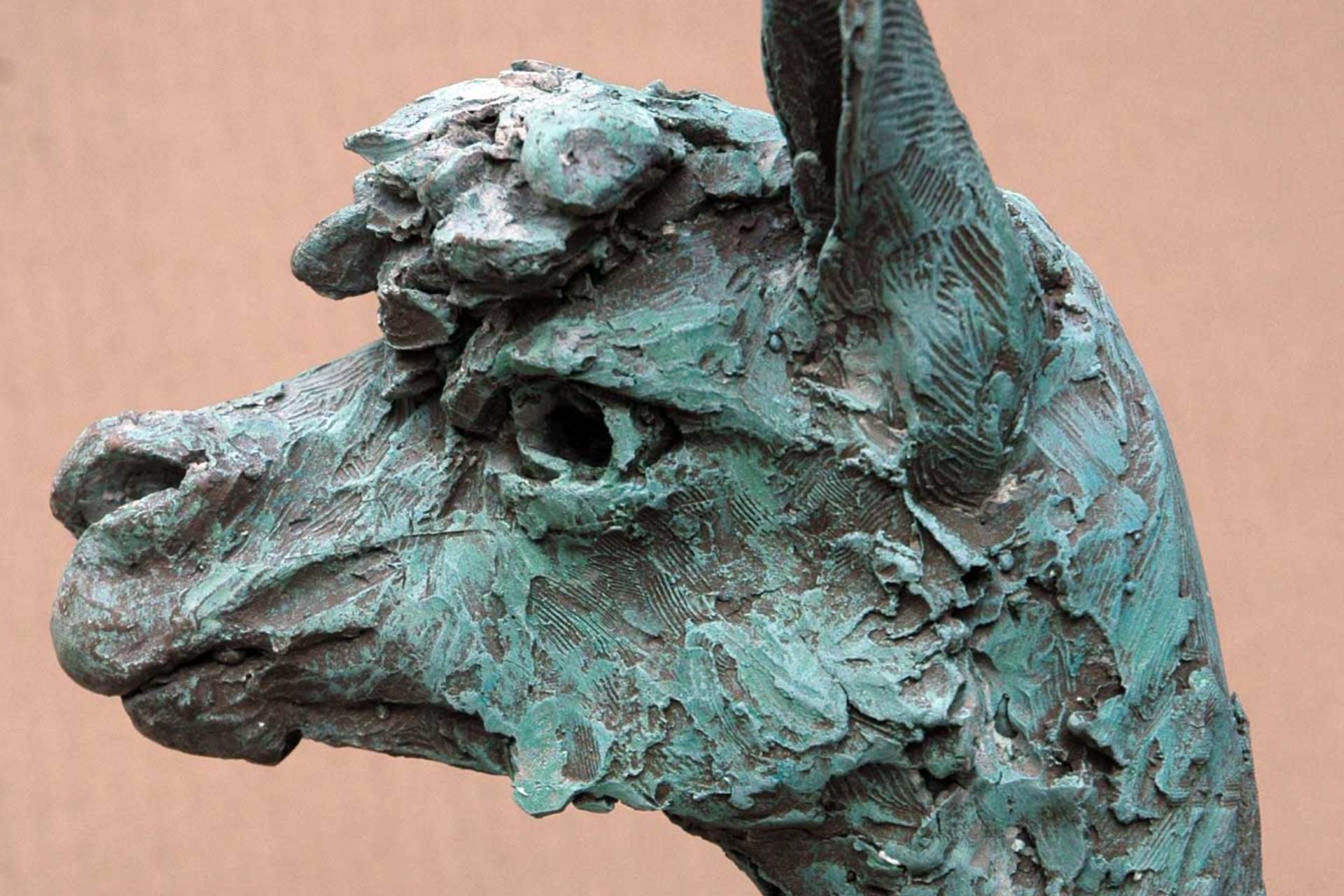 Judy Boyt Animal Sculpture Alpaca