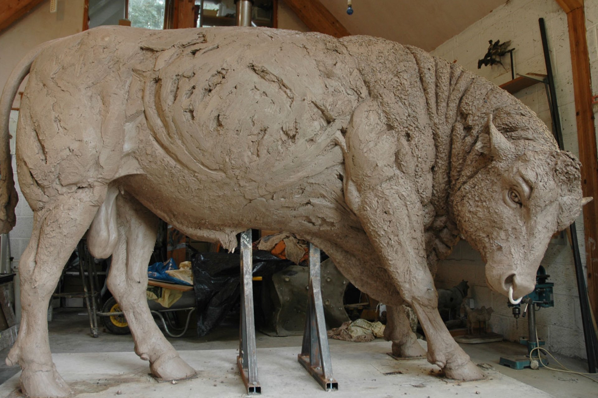Judy Boyt Animal Sculpture Black Prince Bull