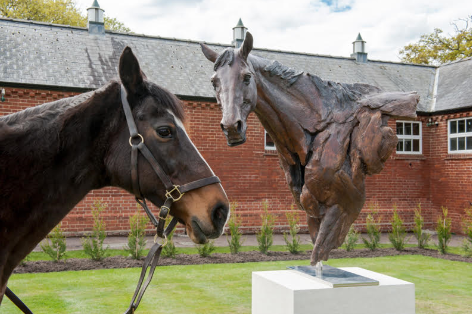 Judy Boyt Horse Sculpture Hasili