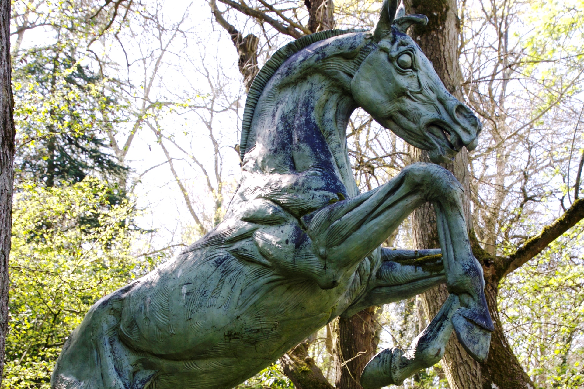 Judy Boyt Horse Sculpture Rebellion