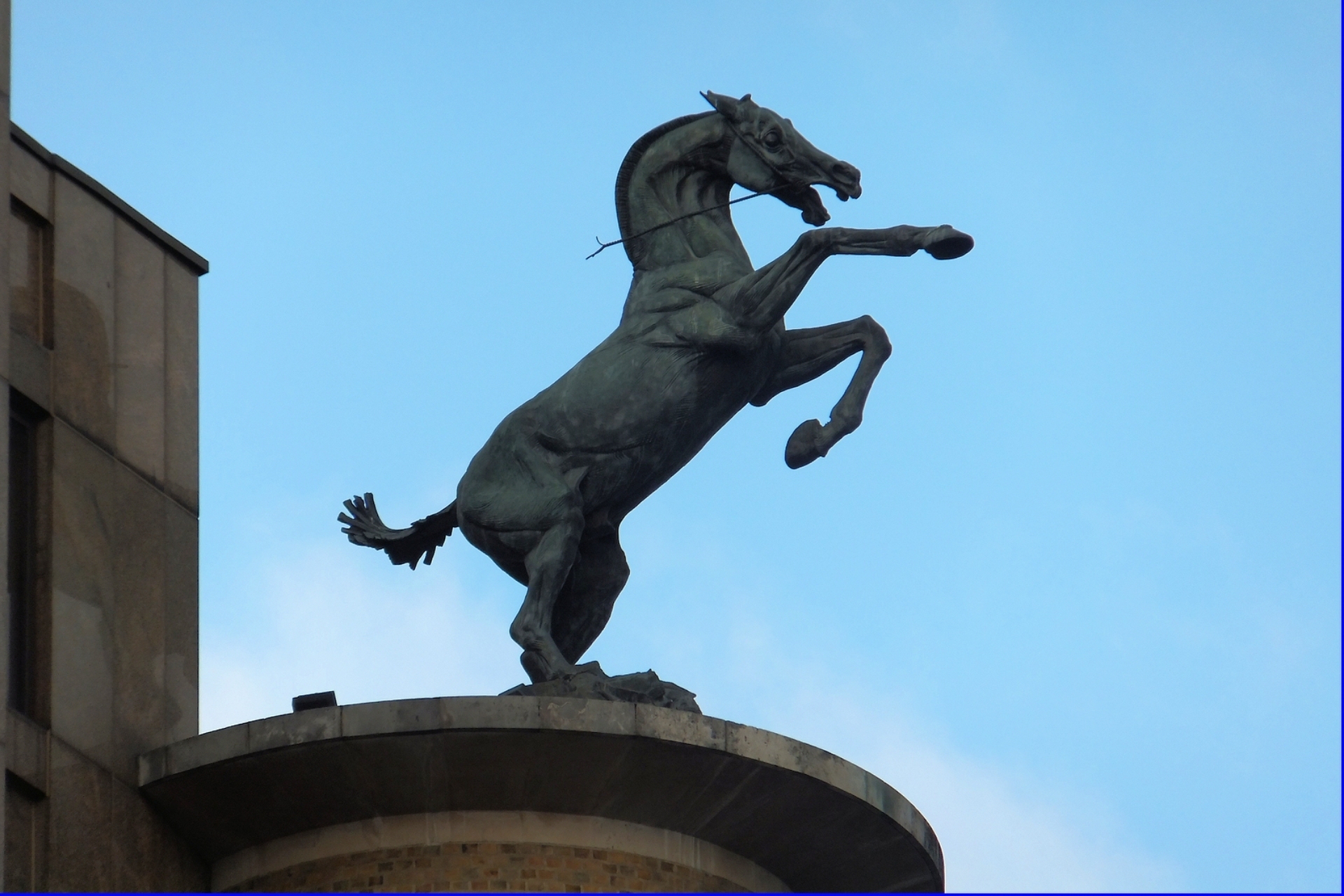 Judy Boyt Horse Sculpture Rebellion