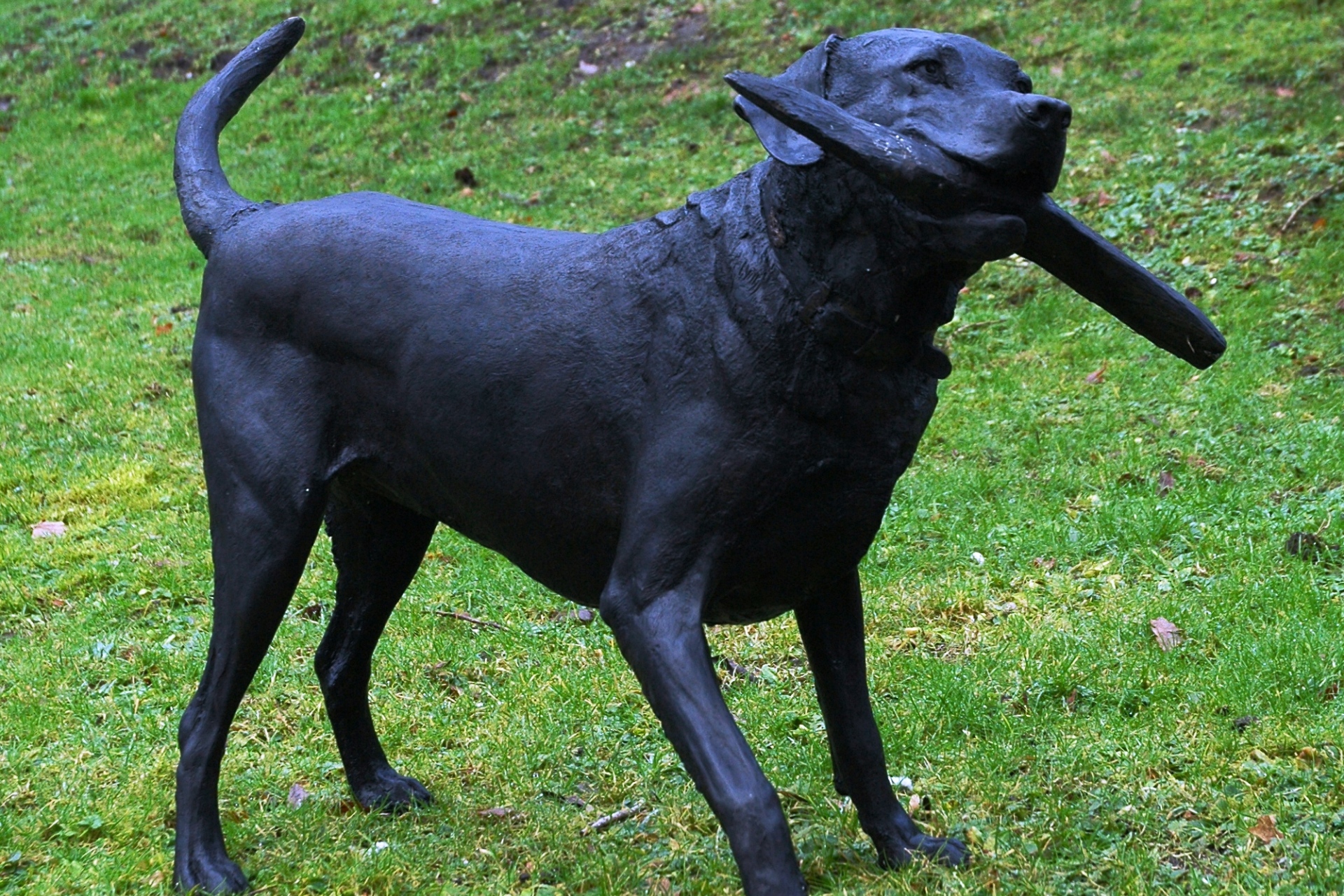 Judy Boyt Dog Sculptures Sammy