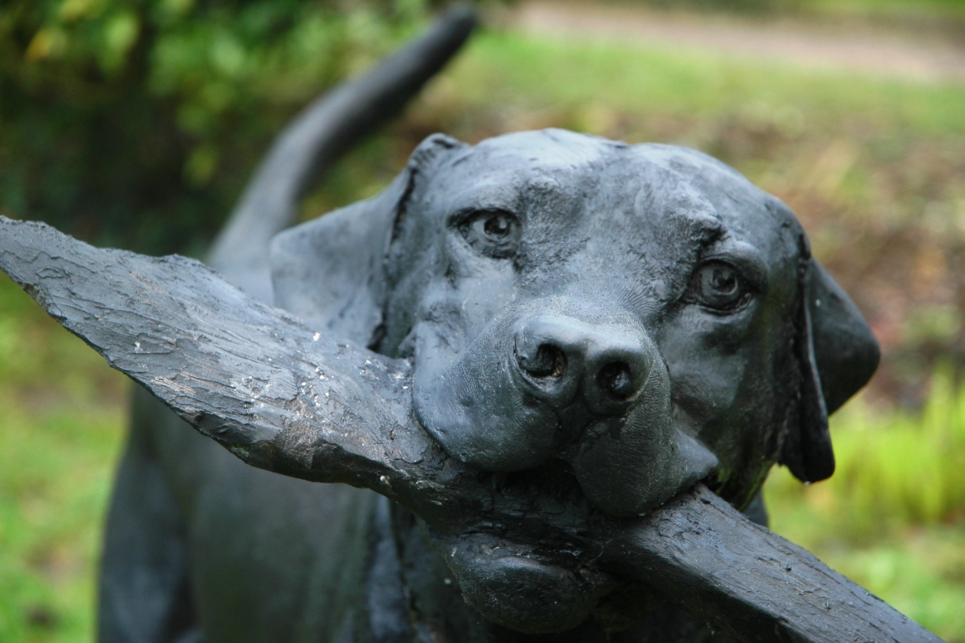 Judy Boyt Dog Sculptures Sammy