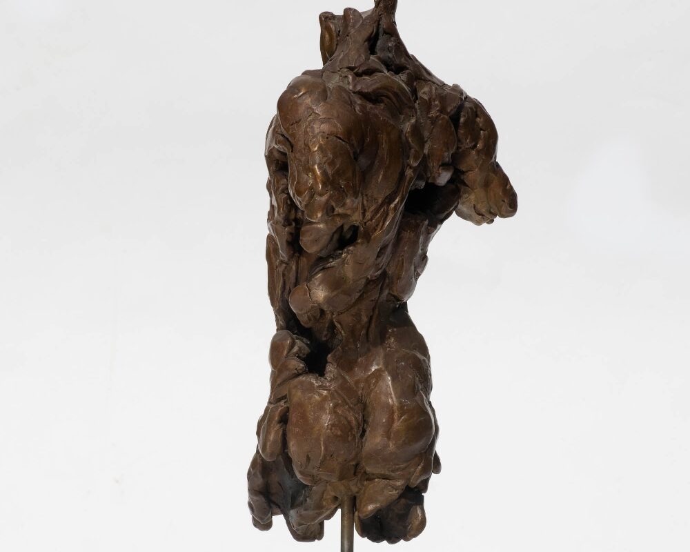 Judy Boyt Human Form Sculptures Torso