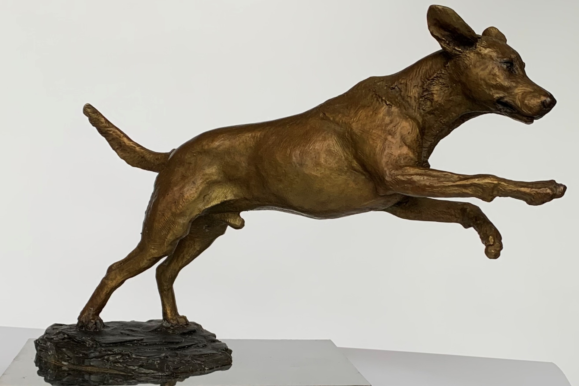 Judy Boyt Dog Sculptures Stanley