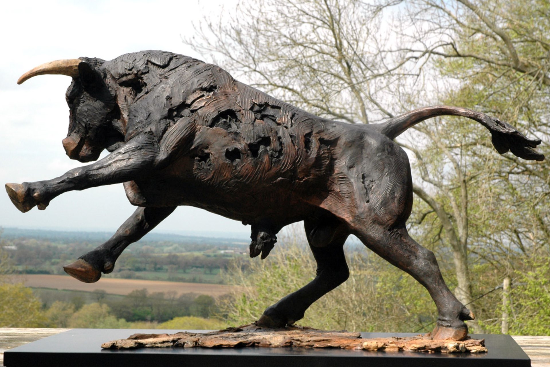 Judy Boyt Animal Sculpture Taurus Bull