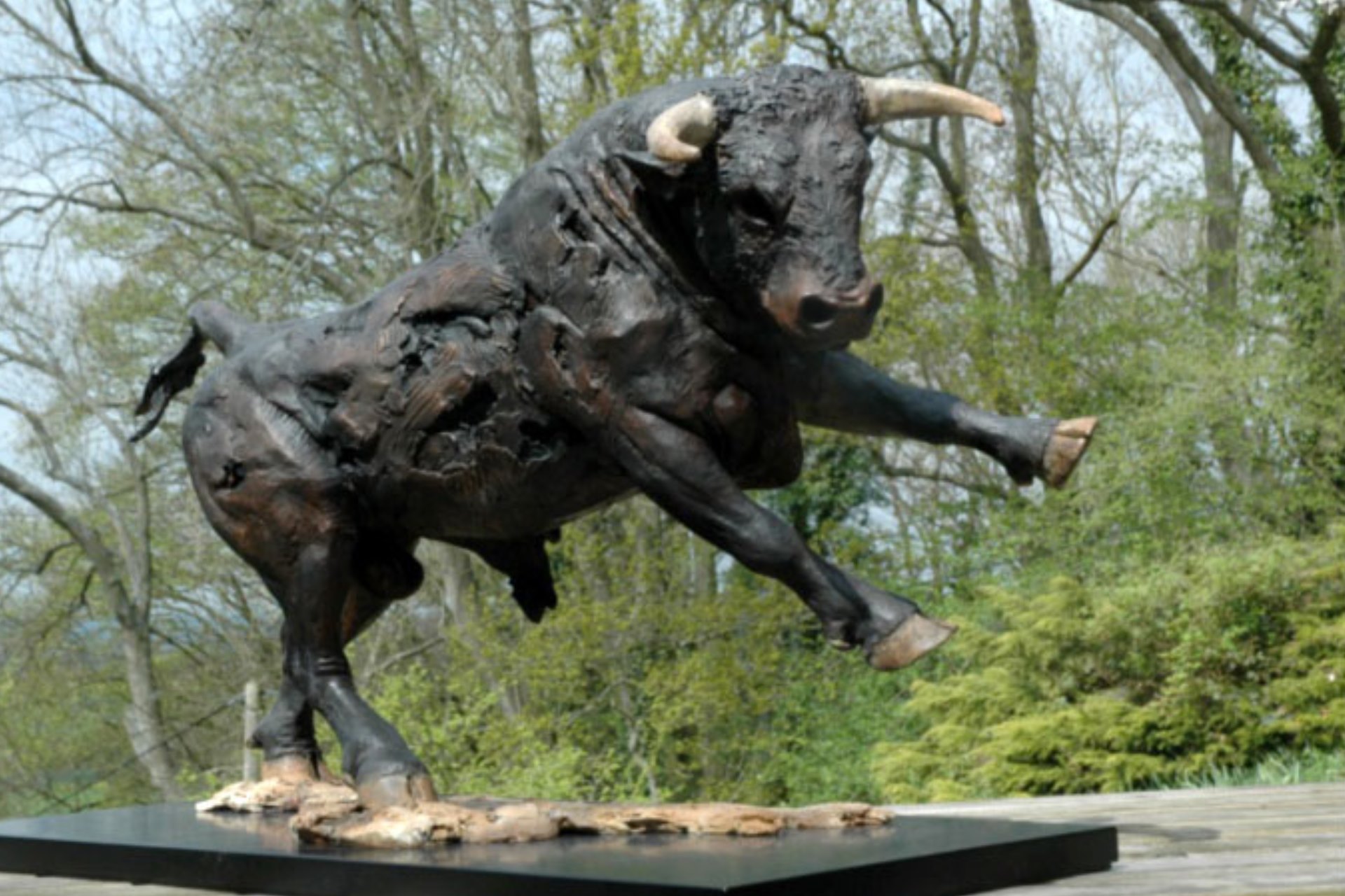 Judy Boyt Animal Sculpture Taurus Bull